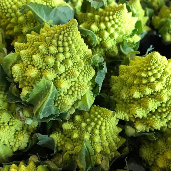 Cauliflower 'Romanesco'