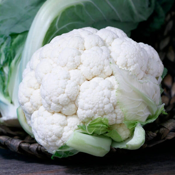  Cauliflower 'Twister'