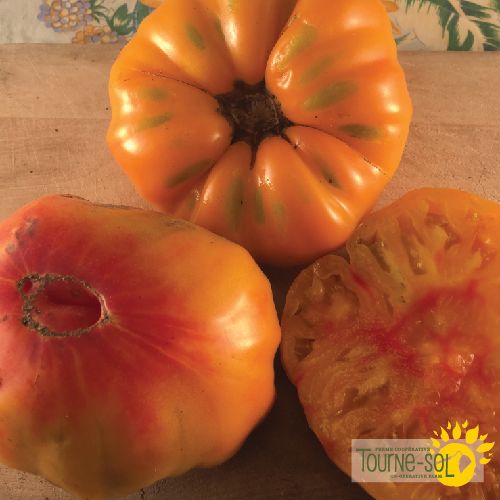 Tomate Orange Striped German