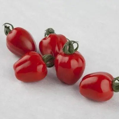 Cherry Tomato Apple Red F1