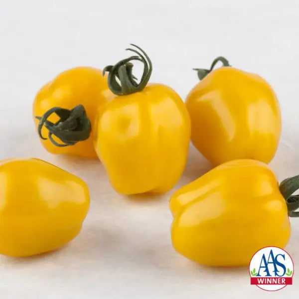 Cherry Tomato Apple Yellow F1