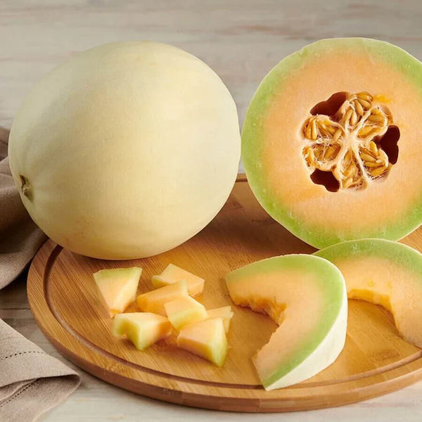 Melon miel 'Honey Money' F1