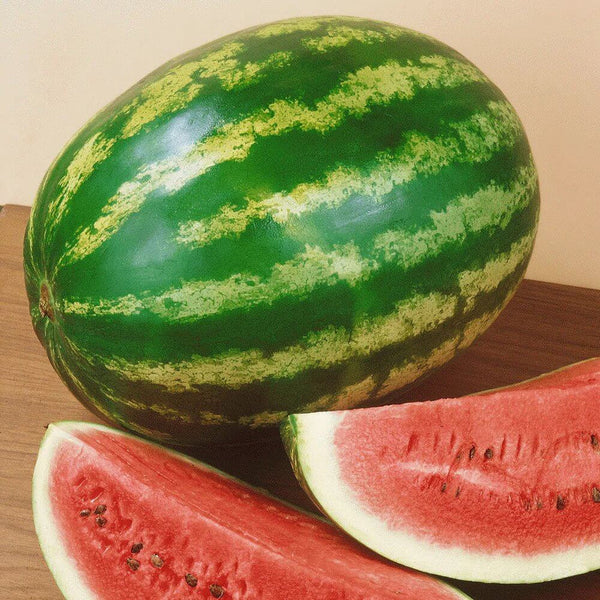 Melon d'eau 'Crimson Baby'