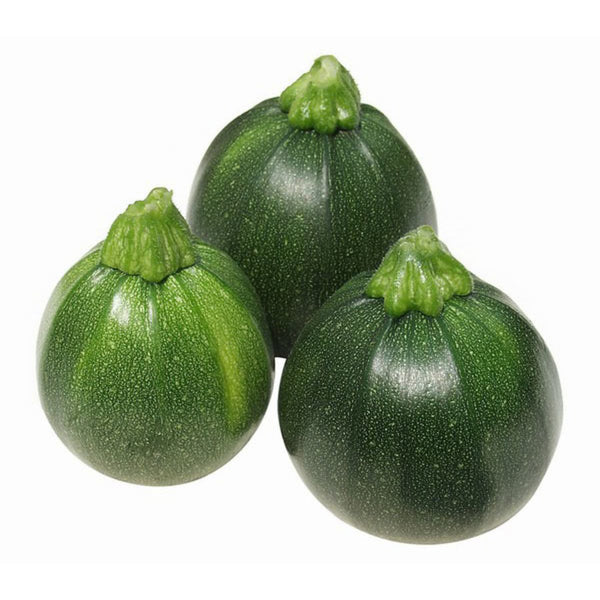 Zucchini 'Round Green' 