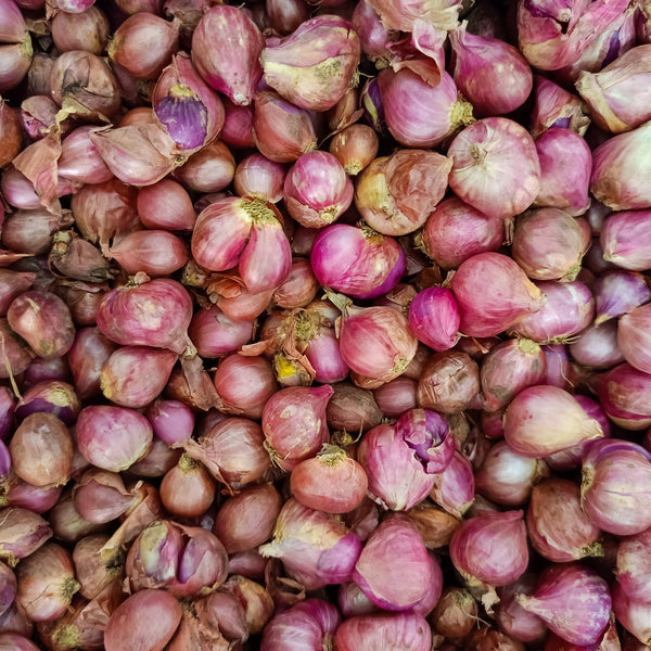 French shallot 'Pink'