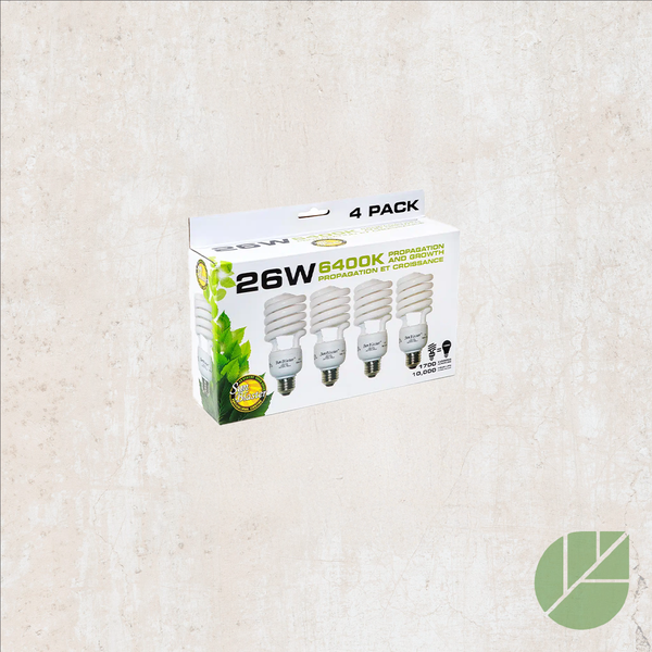 Compact fluorescent bulbs (4x) 26W, 6400K