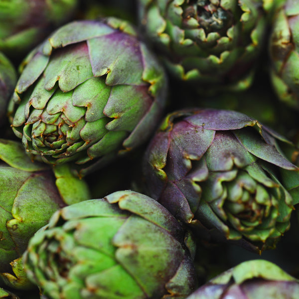 Artichoke 'Di Romagna'