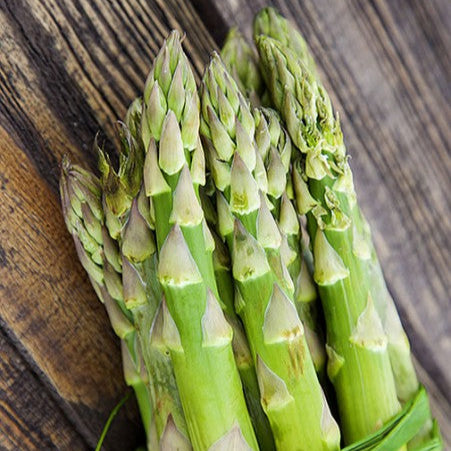 Asparagus 'D'Argenteuil'