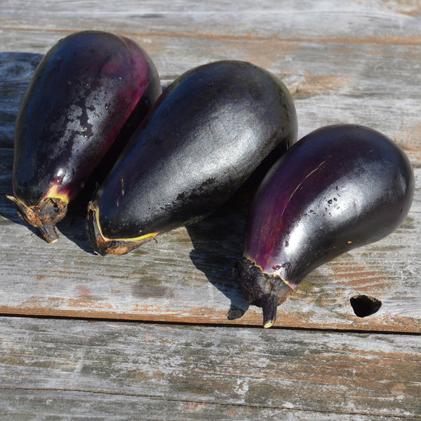 Organic 'Black' eggplant