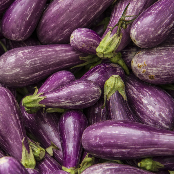 Aubergine 'Fairy Tale' F1