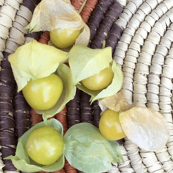 Ground Cherry' Aunt Molly' organic