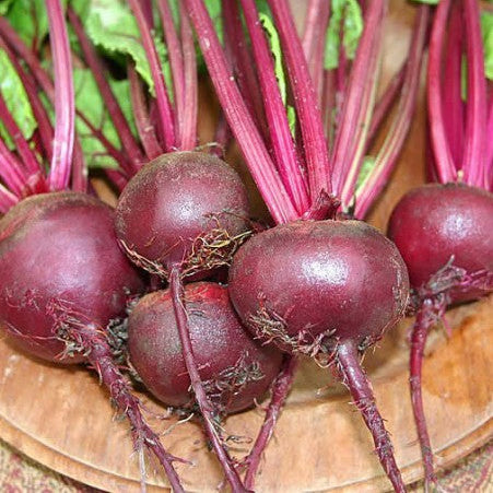 Beetroot 'Poanazza D'Egitto'