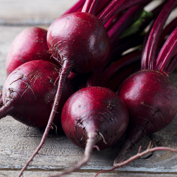 Beet  'Red Ace'