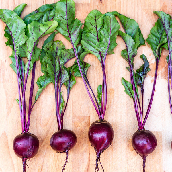 Egyptian Flat Beets