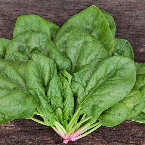 Spinach 'Verdil' organic