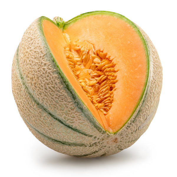 Cantaloup 'Magnifisweet' F1