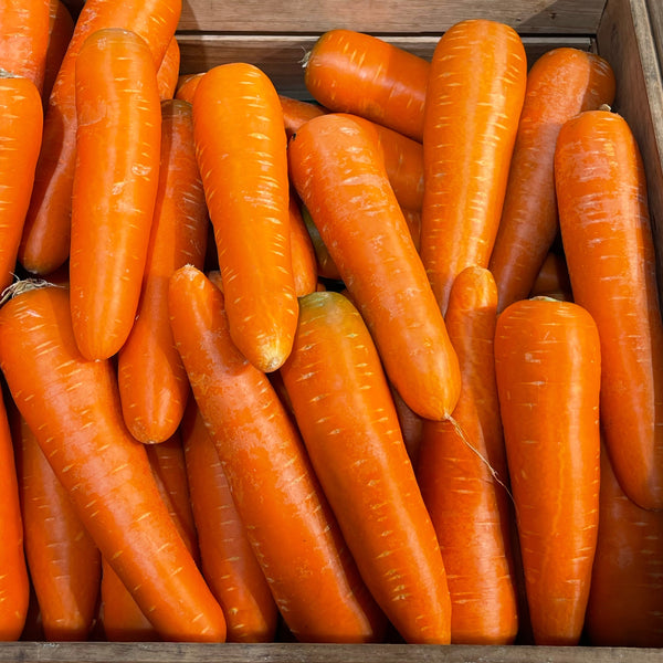 Carrot 'Little Finger' organic