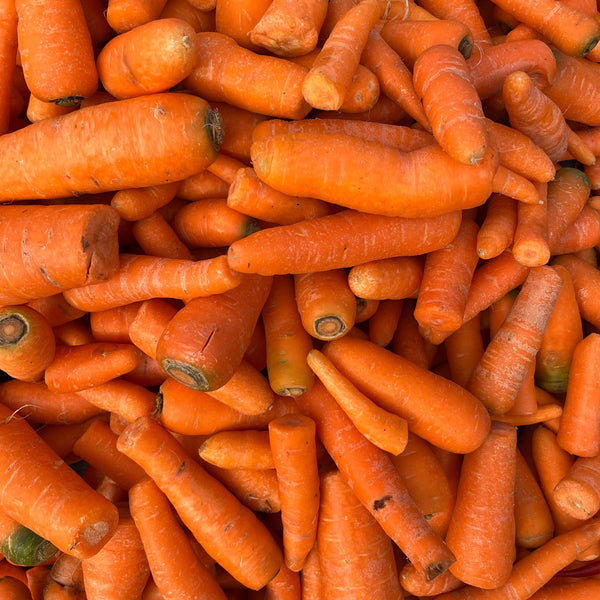 Carrot 'Napoli' organic