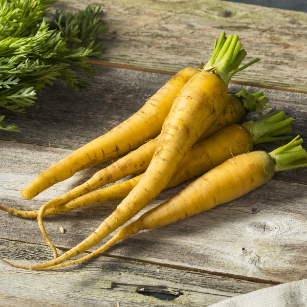 Carrot Yellowstone