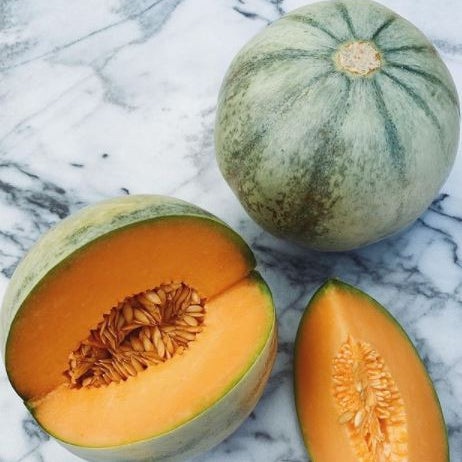 Melon 'Charentais' organic