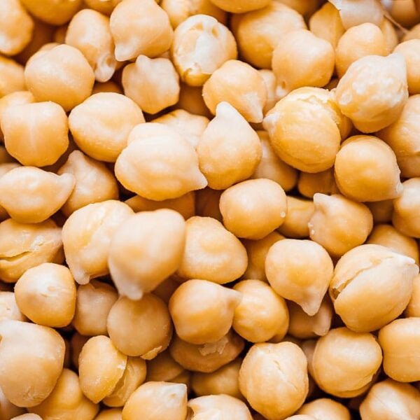 Chickpea 'White seed'