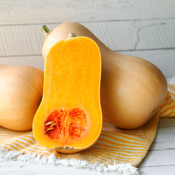 Courge 'Butternut' bio