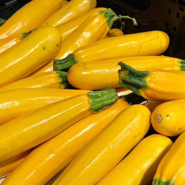 Yellow zucchini squash