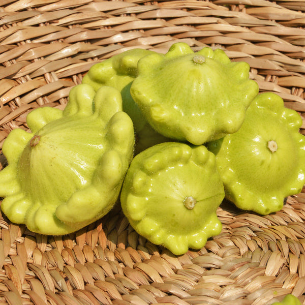 Organic yellow and green mixed squash