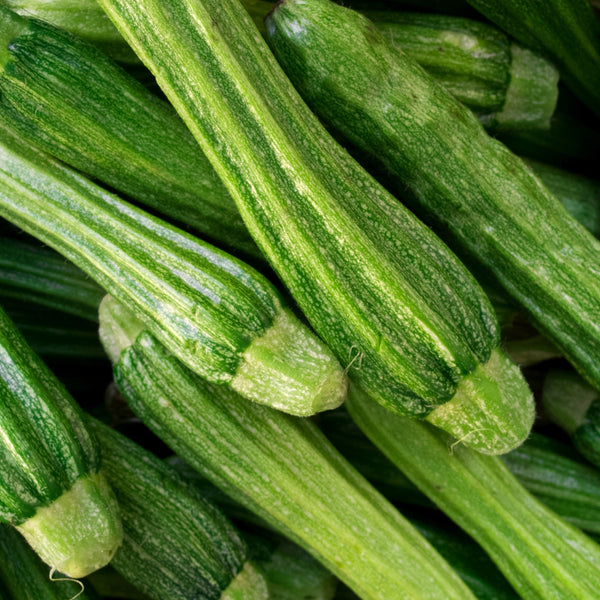 Courgette 'Romanesco'