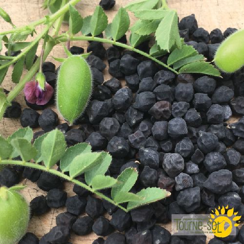 Black Kabouli Chickpea