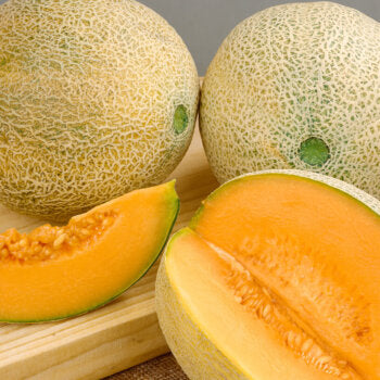 Cantaloup 'Delicious 51'