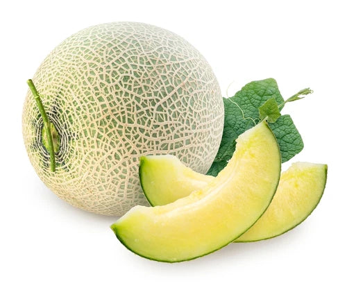 Melon 'Eden's Gem'