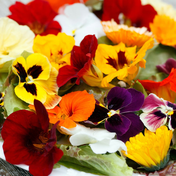 Edible flowers (Calendula, Dianthus and Viola)