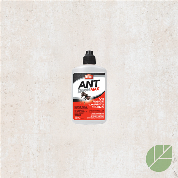 Liquide Éliminateur de Fourmis Ortho® Ant B Gon™ MAX