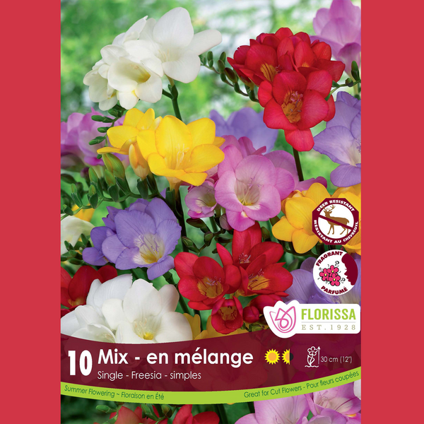 Freesia 'Simple Mix' (10 bulbs)