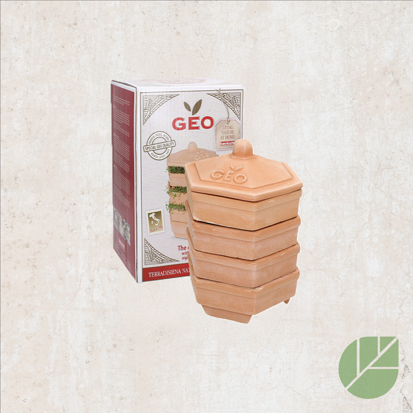 GEO terracotta germinator