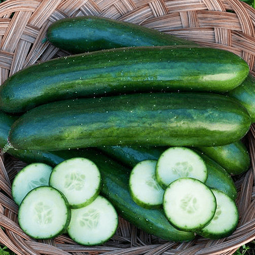 Organic 'Green Finger' Cucumber