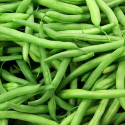 Bush Bean 'Tendergreen'