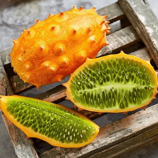 Horned Melon (Kiwano) 