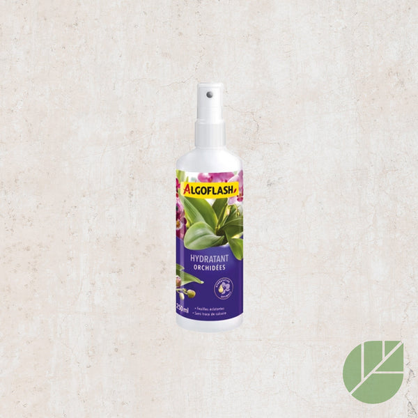 Algoflash Orchid Moisturizer