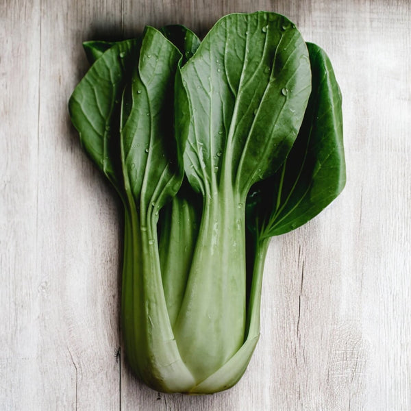 Chou chinois 'Pak Choi'