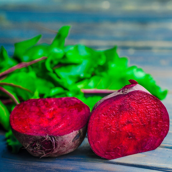 Beetroot 'Boltardy' on ribbon