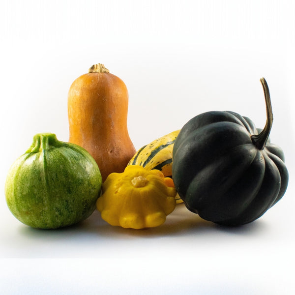 Squash 'Garden Mix'