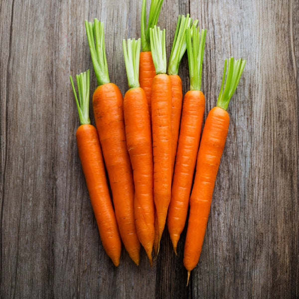 Carrot Chantenay Long