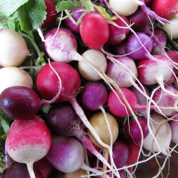 Radish mix