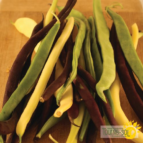 Pole Bean Mix