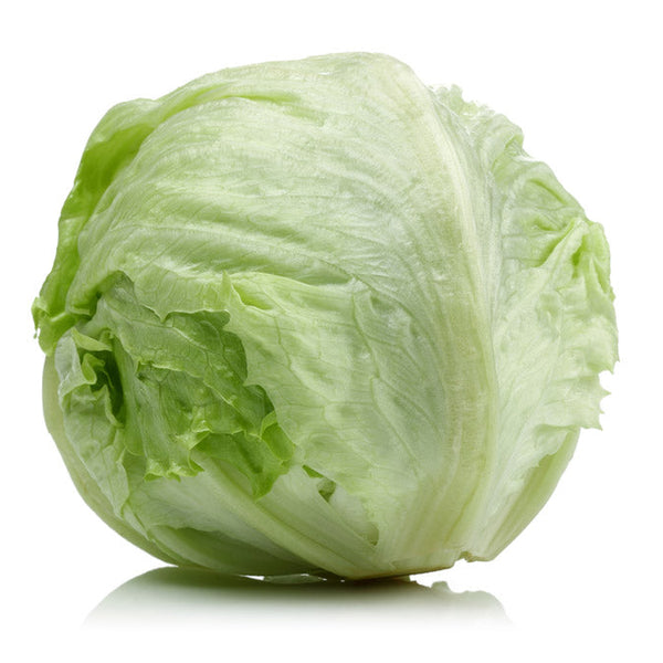 Organic Iceberg Lettuce