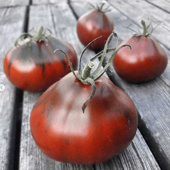 Tomato 'Japanese Black Trifele'  Organic