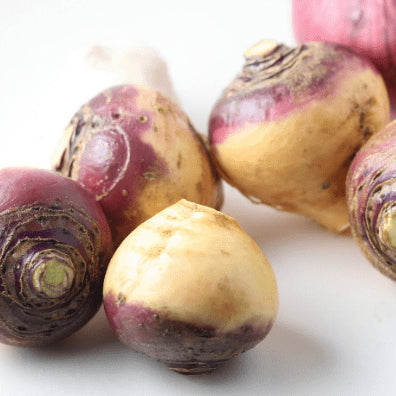 Organic Rutabaga 'Joan'