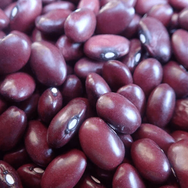 Organic 'Kashmir' bean